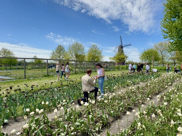 Mitchell asking Kathleen to marry him